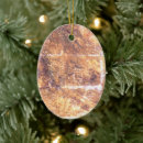 Search for rocky christmas tree decorations Nature