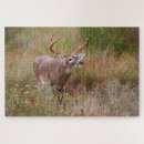 Search for deer antlers puzzles Buck