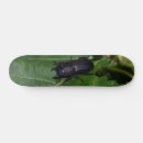 Search for beetle skateboards Bug