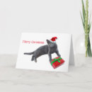 Search for grey cat christmas cards Red