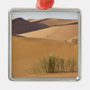 Search for moroccan christmas tree decorations Travel