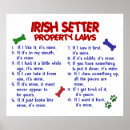Search for irish setter posters Dog