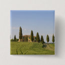 Search for siena badges Europe