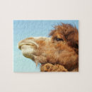 Search for camel puzzles Portrait
