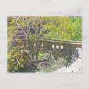 Search for san jose postcards Nature