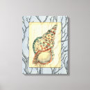 Search for seashells sea shells canvas prints Beach