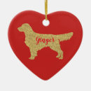Search for red golden retriever Pets