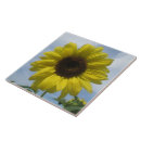 Search for summer sunflower tiles Floral