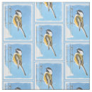 Search for feeder Bird