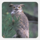 Search for horned owl stickers Animal