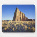 Search for plateau mouse mats Utah
