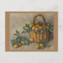 Search for apple baskets postcards Still life