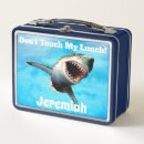 Search for teeth food storage Great white shark