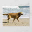 Search for wet postcards Sea