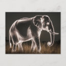 Search for big five postcards Safari