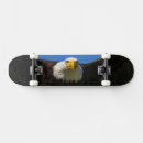 Search for baldness skateboards Bald eagle