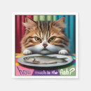 Search for katze Kitten