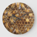Search for bee clocks Honey