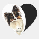 Search for papillon dog stickers Animal