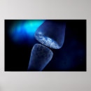 Search for neurons posters Neuroscience
