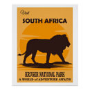 Search for kruger national park posters Lion