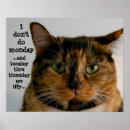 Search for calico cat posters Humour