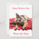 Search for german mothers day cards Dog