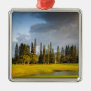 Search for hazard christmas tree decorations Clouds