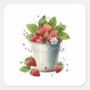 Search for fresh strawberries stickers Red strawberry