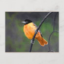 Search for oriole postcards Baltimore
