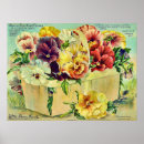 Search for vintage seed packets posters Flowers