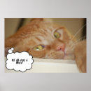 Search for eye doctors posters Humour