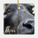 Search for india christmas tree decorations Travel