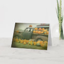 Search for pumpkin patch photography Orange