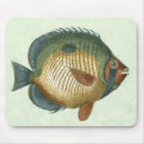 Search for fins mouse mats Animal