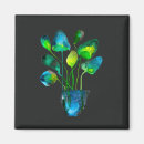 Search for funky abstract magnets Green