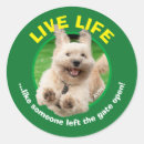 Search for running dog stickers Funny