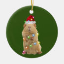 Search for guinea pig christmas tree decorations Santa