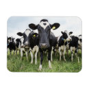 Search for rows magnets Horizontal