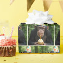 Search for chimpanzee wrapping paper Birthday