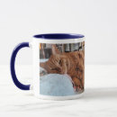 Search for sleepy cat mugs Photography