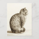 Search for vintage cat postcards Sepia