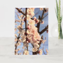Search for fruit trees cards Flowers