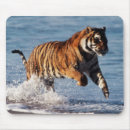 Search for beach mouse mats horizontal