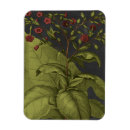 Search for botanical study magnets Leaf