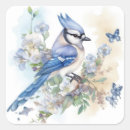 Search for jay bird stickers Blue