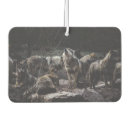 Search for wolf car air fresheners Wolves