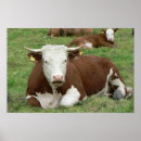 Search for pasture posters Farm