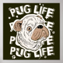 Search for animal activist posters Animal rights activists