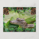 Search for alligator christmas cards Nature